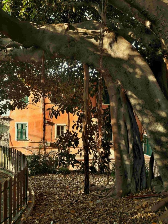 Casa Thomas *